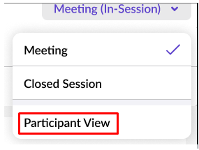 Participant_View_Drop_Down.png